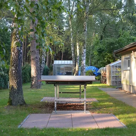 Ferienhaus 'kiefernwald' Borkwalde